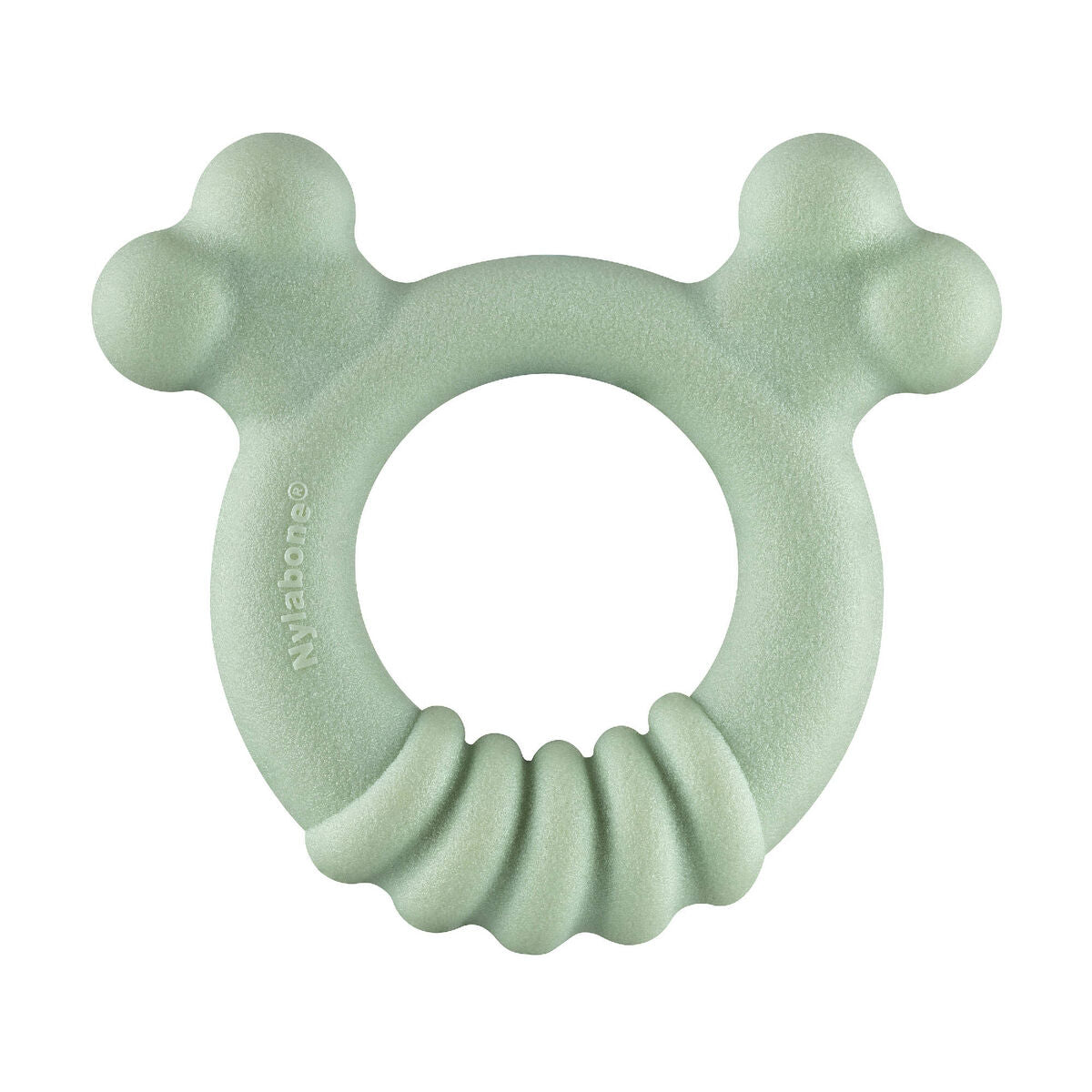 Jouet pour chien Nylabone SENSORY TACTILE RING Vert Beurre de cacahuètes Poulet S