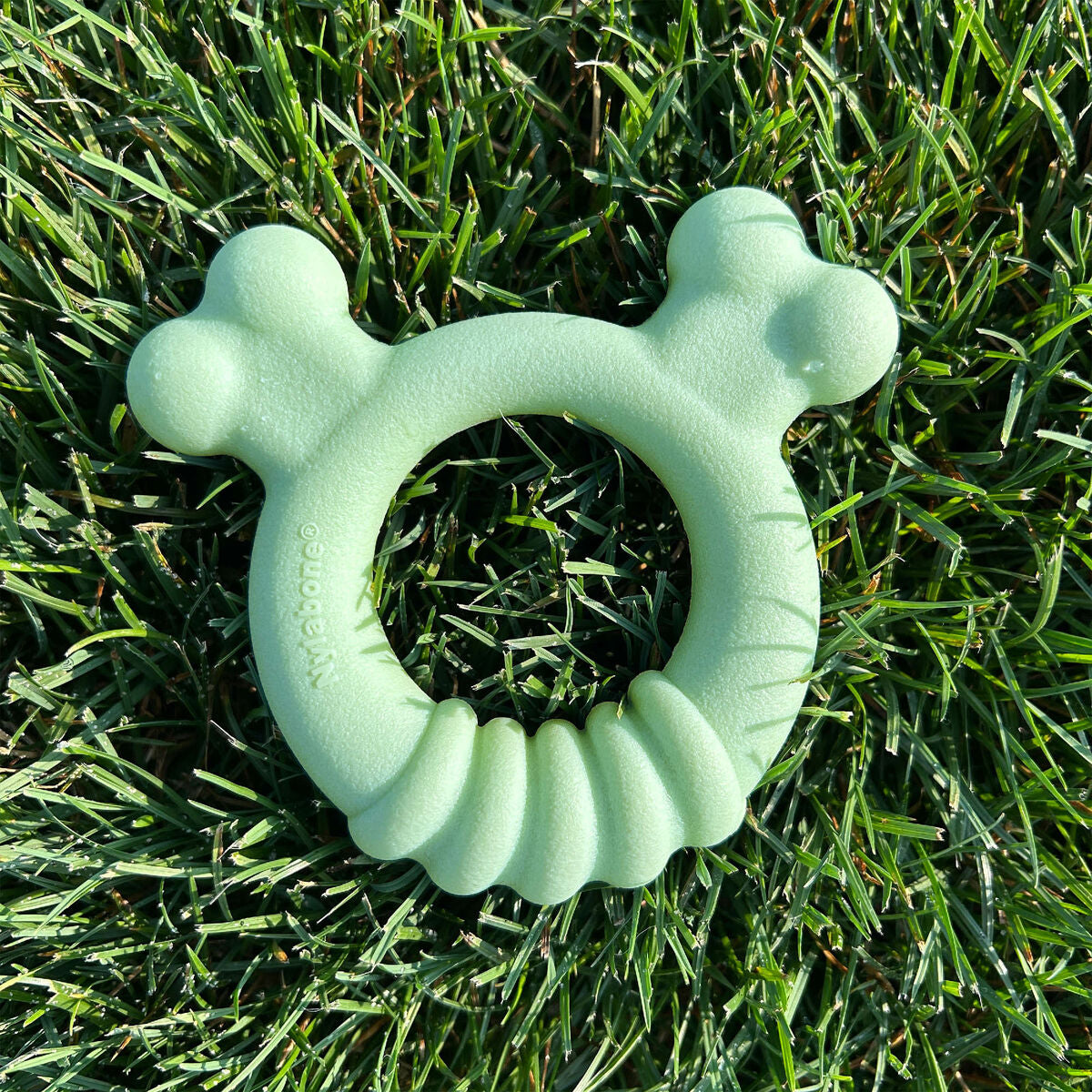 Jouet pour chien Nylabone SENSORY TACTILE RING Vert Beurre de cacahuètes Poulet S