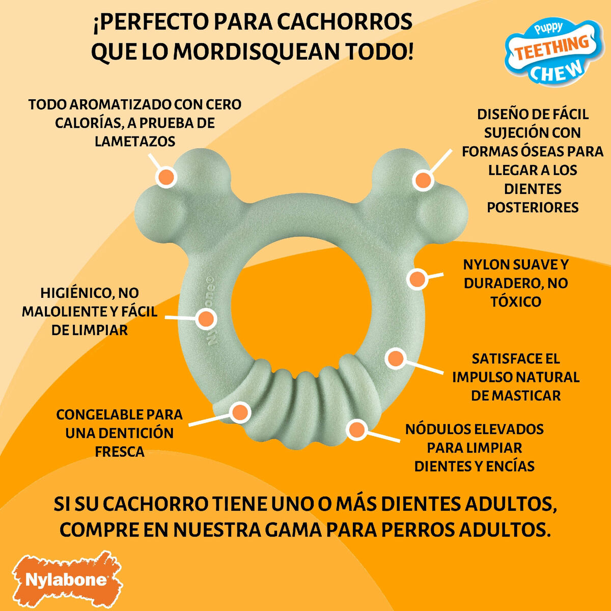 Jouet pour chien Nylabone SENSORY TACTILE RING Vert Beurre de cacahuètes Poulet S