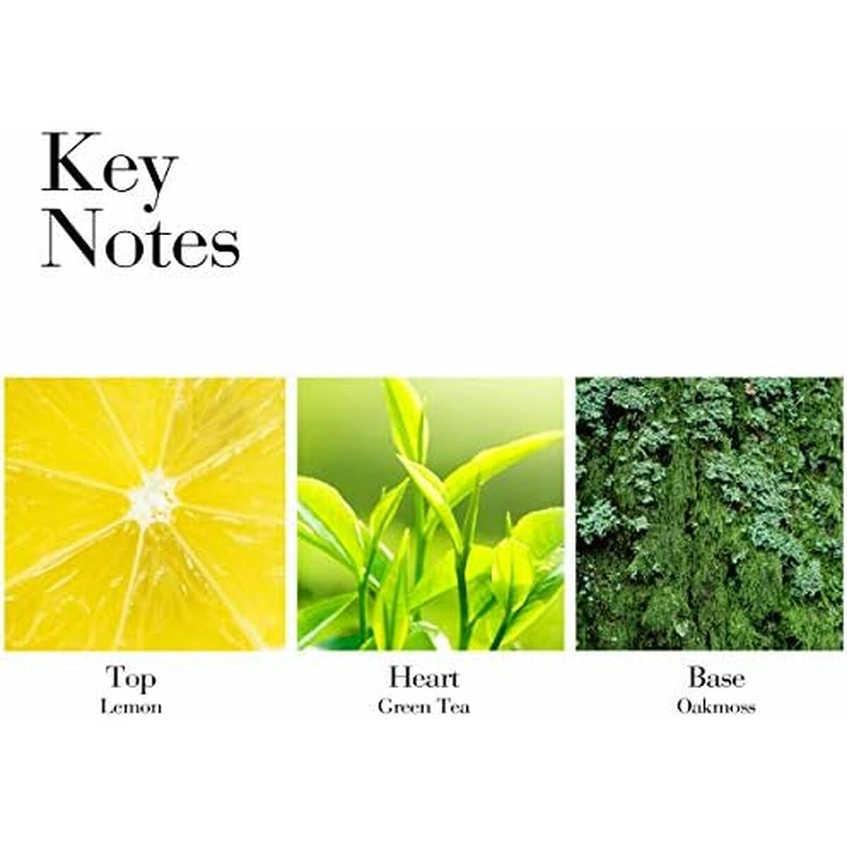 Soin du corps hydratant Elizabeth Arden GREB40034