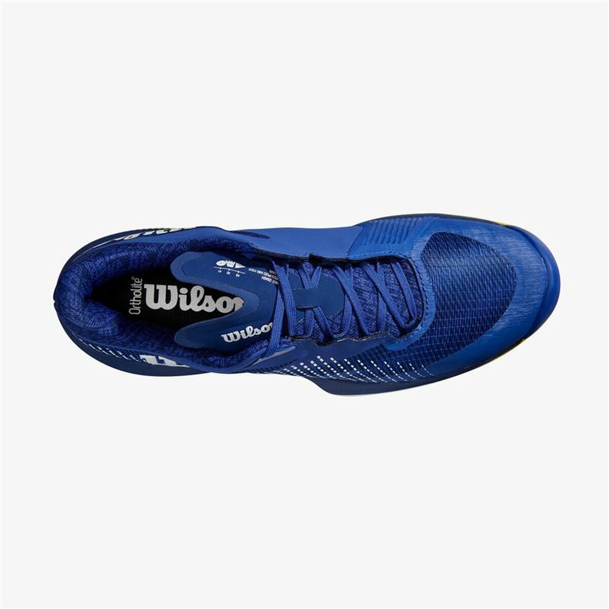 Chaussures de Tennis pour Homme Wilson Kaos Swift Clay 2024 Bleu