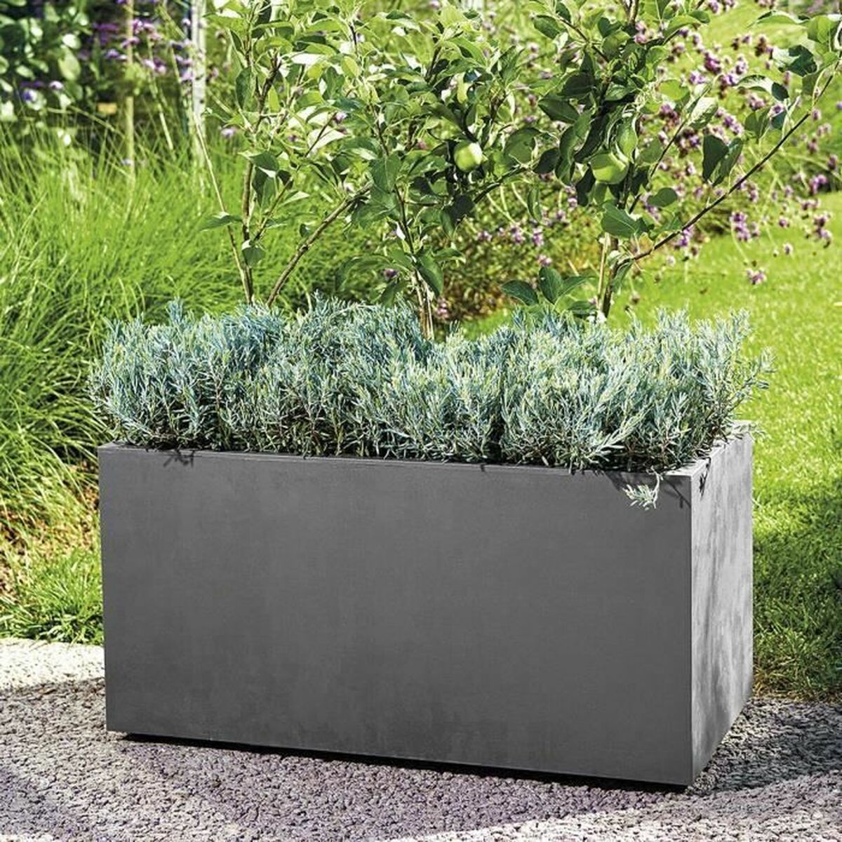 Jardinière auto-arrosante Deroma Anthracite 79 cm Plastique Rectangulaire