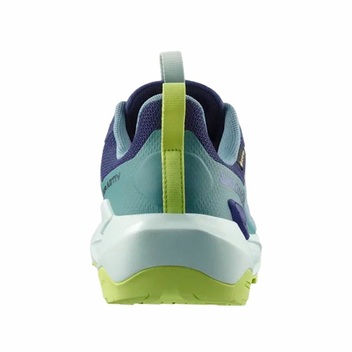 Chaussures de marche pour homme Salomon Elixir Activ Gtx Bleu