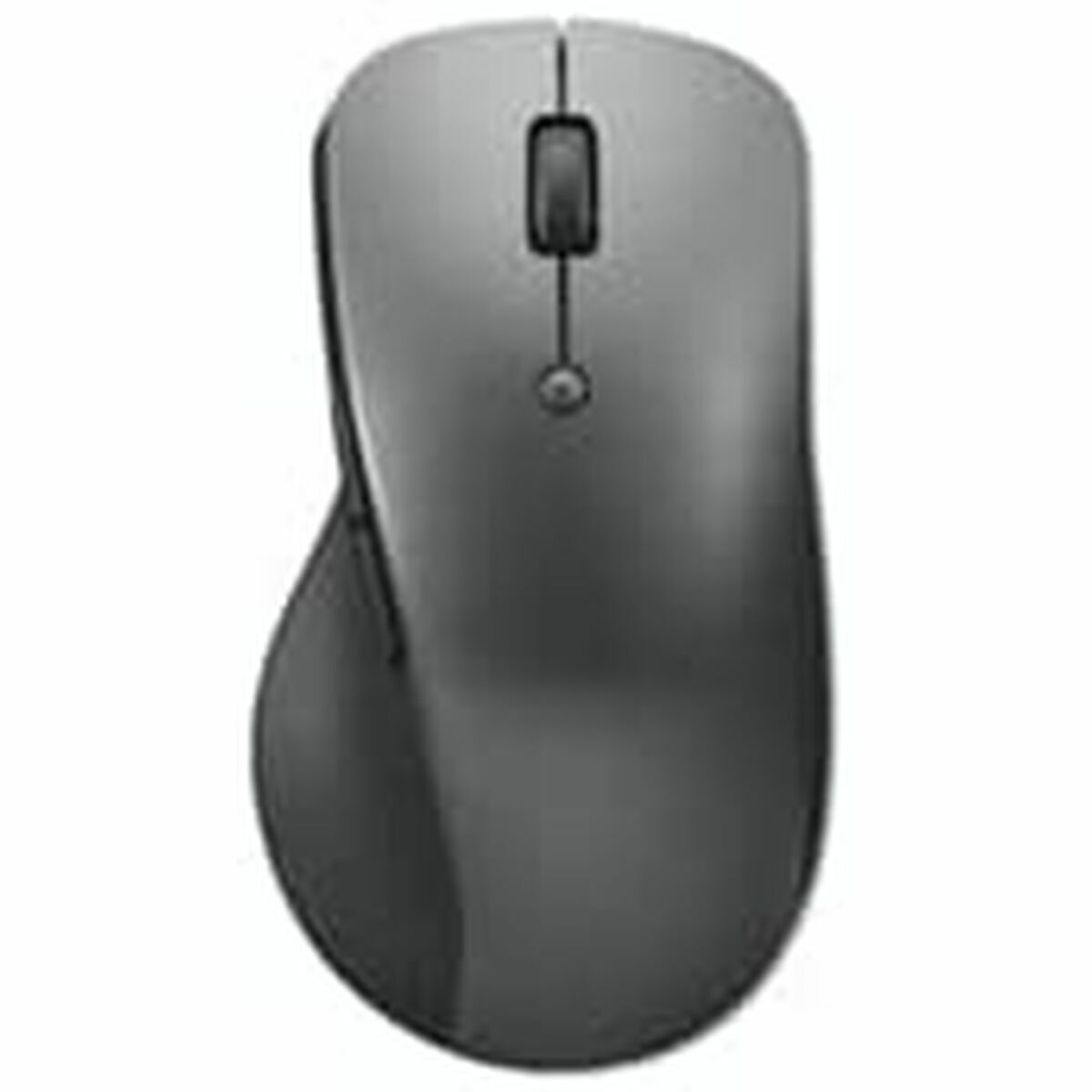 Souris Lenovo 4Y51J62544 Gris 2400 dpi