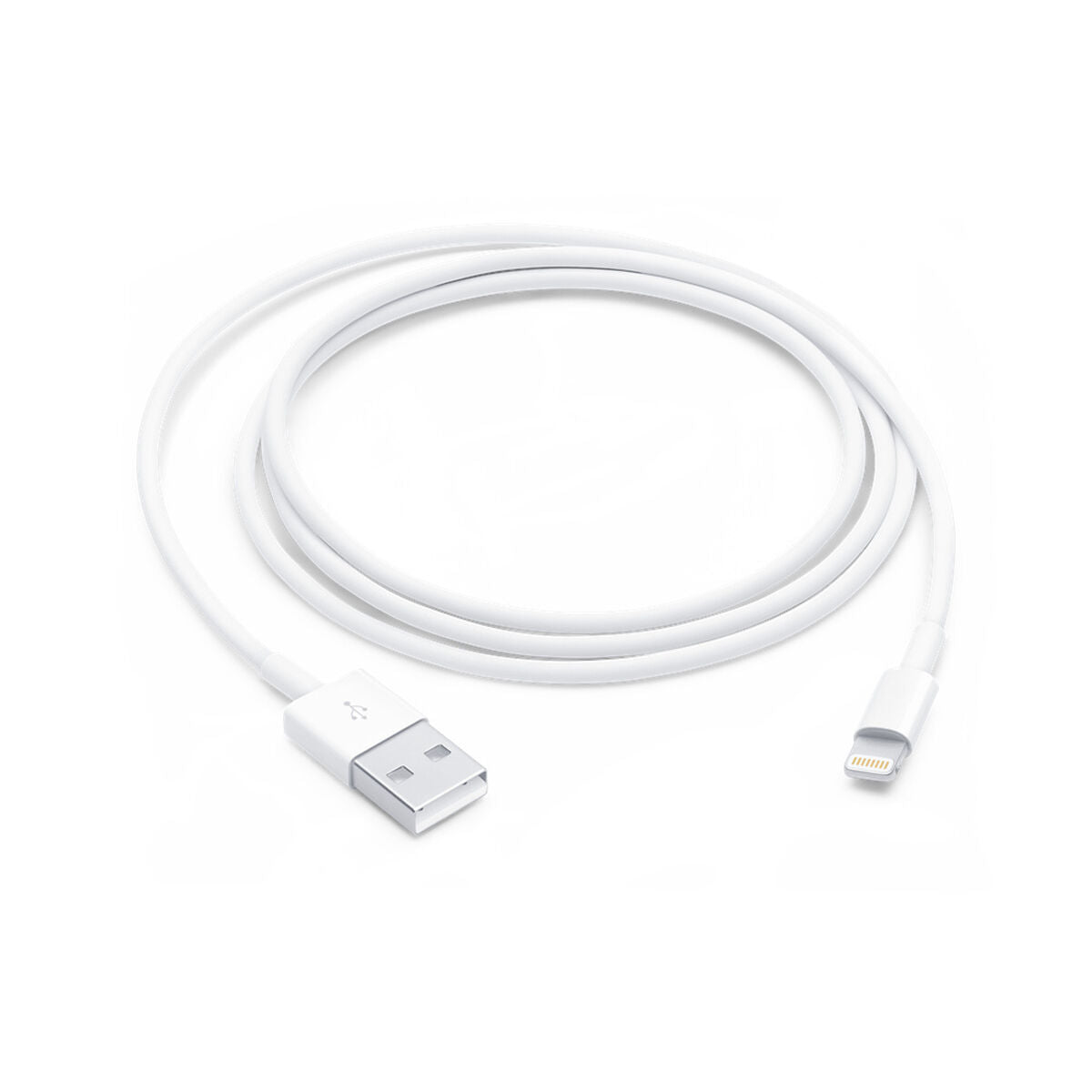 Câble USB vers Lightning Apple Blanc 1 m