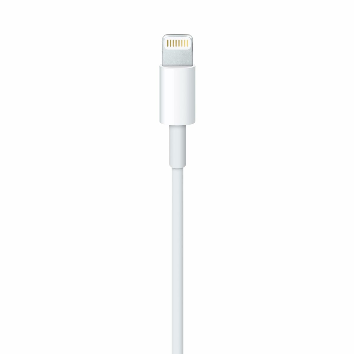 Câble USB vers Lightning Apple Blanc 1 m