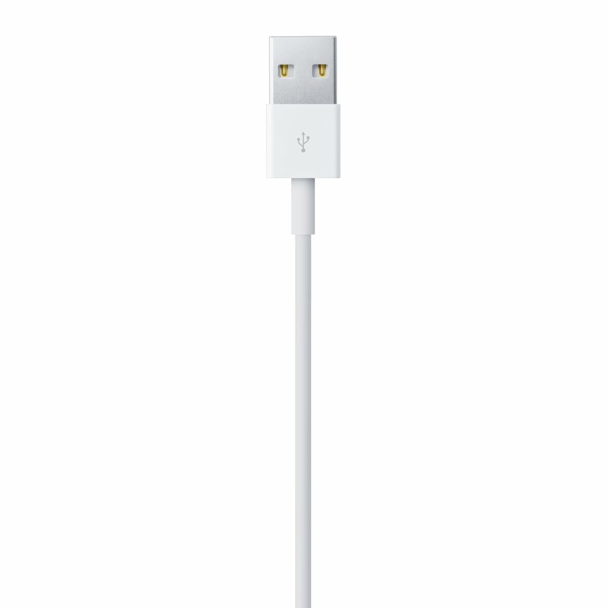 Câble USB vers Lightning Apple Blanc 1 m