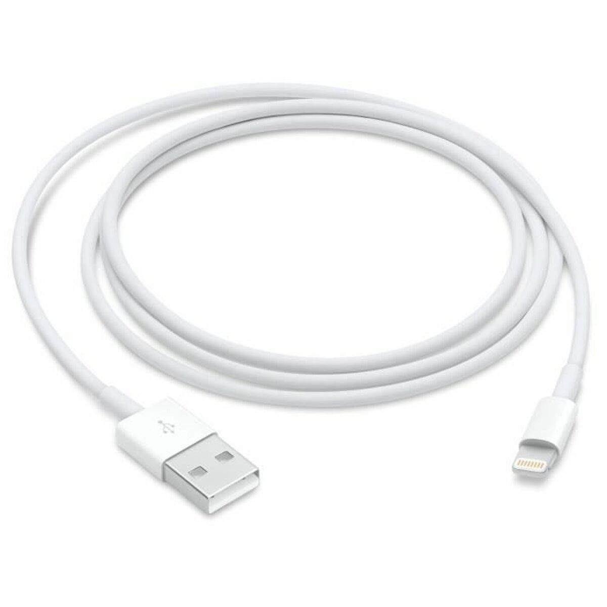 Câble USB vers Lightning Apple Blanc 1 m