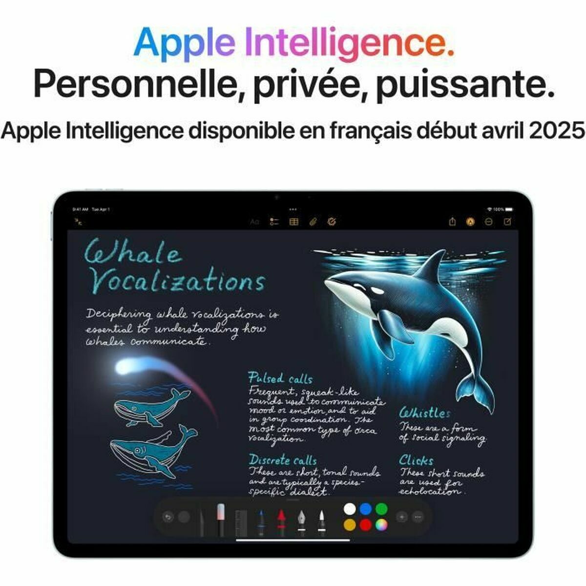 Tablette Apple 13" M3 8 GB RAM 512 GB Pourpre