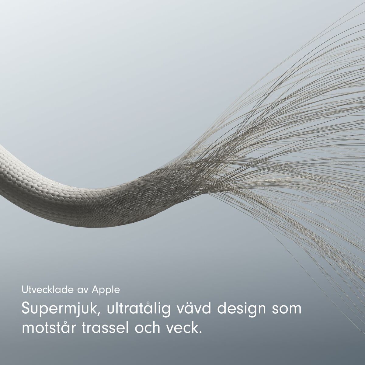 Câble USB-C vers USB-C Apple MDGD4ZM/A Gris 1,5 m