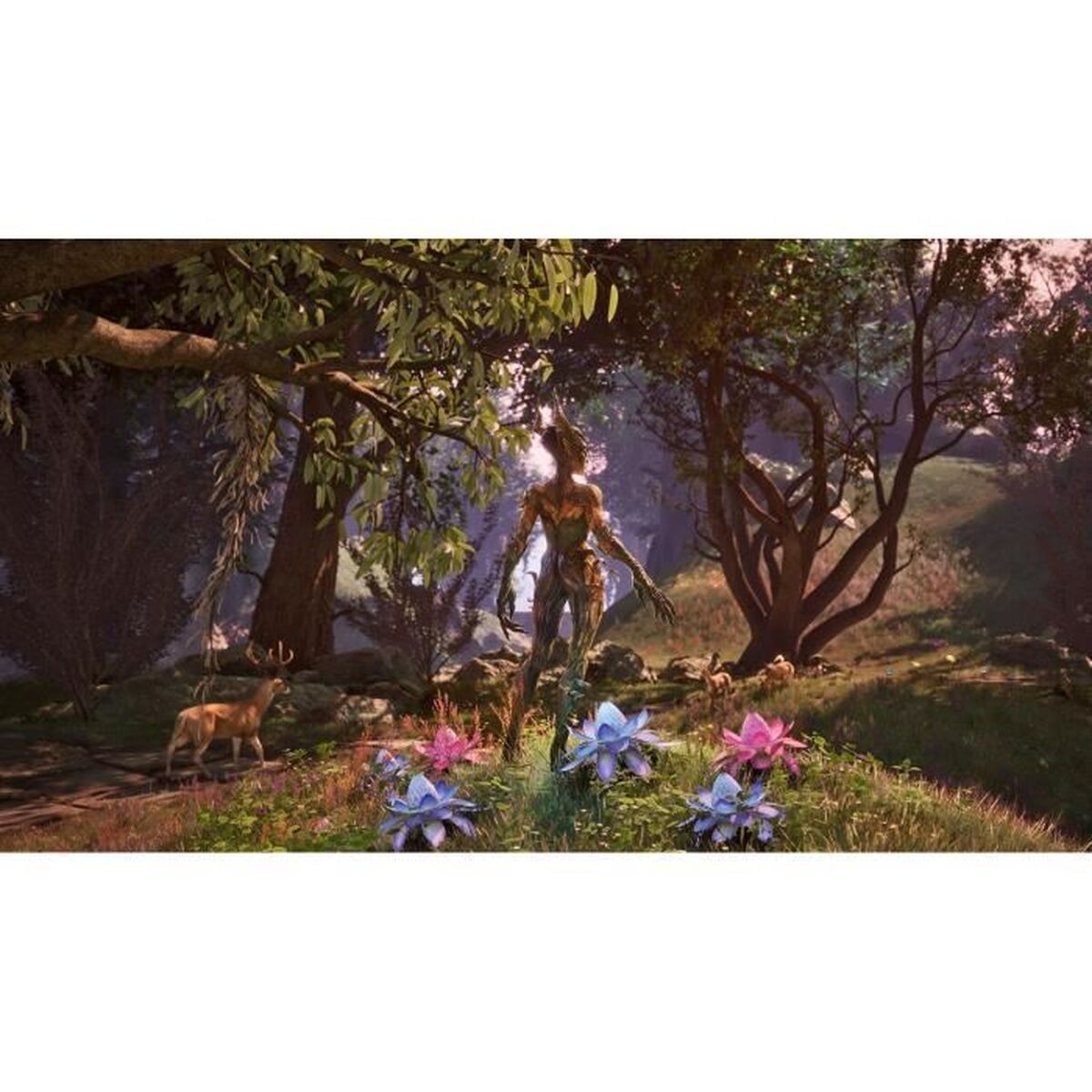 Jeu vidéo Xbox One Microsoft Elder Scrolls IV Oblivion