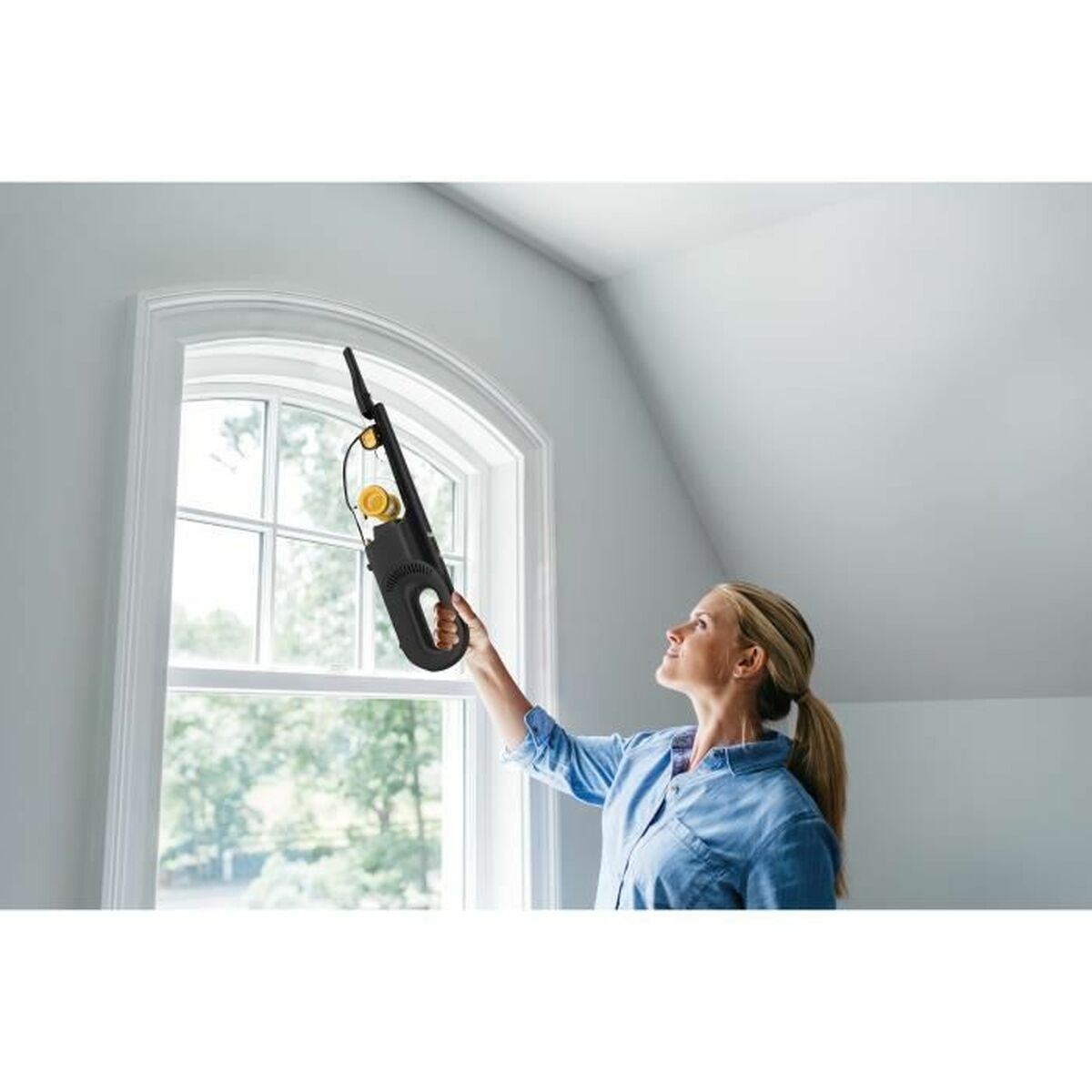 Aspirateur à main Shark