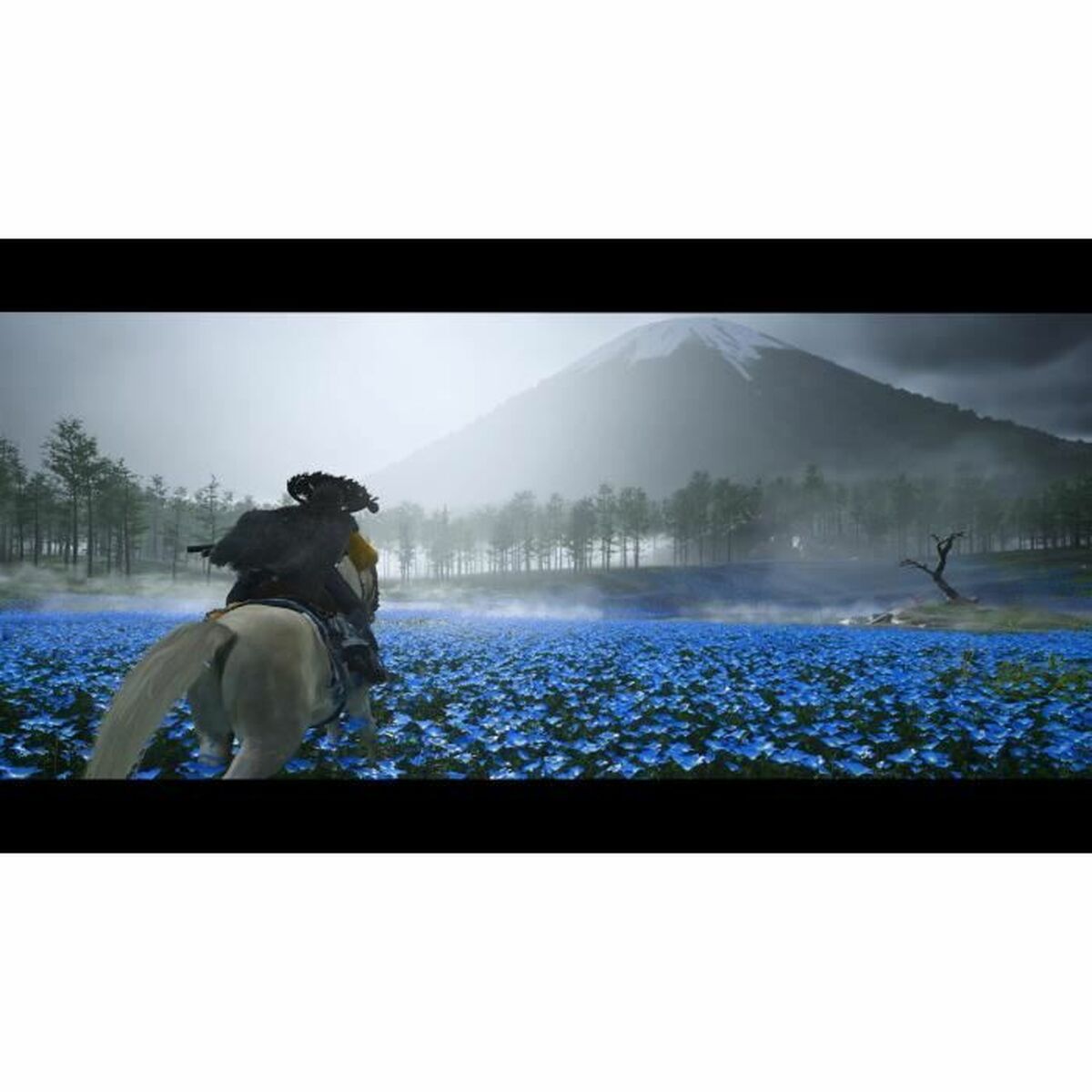 Jeu vidéo PlayStation 5 Sony Ghost of Yotei