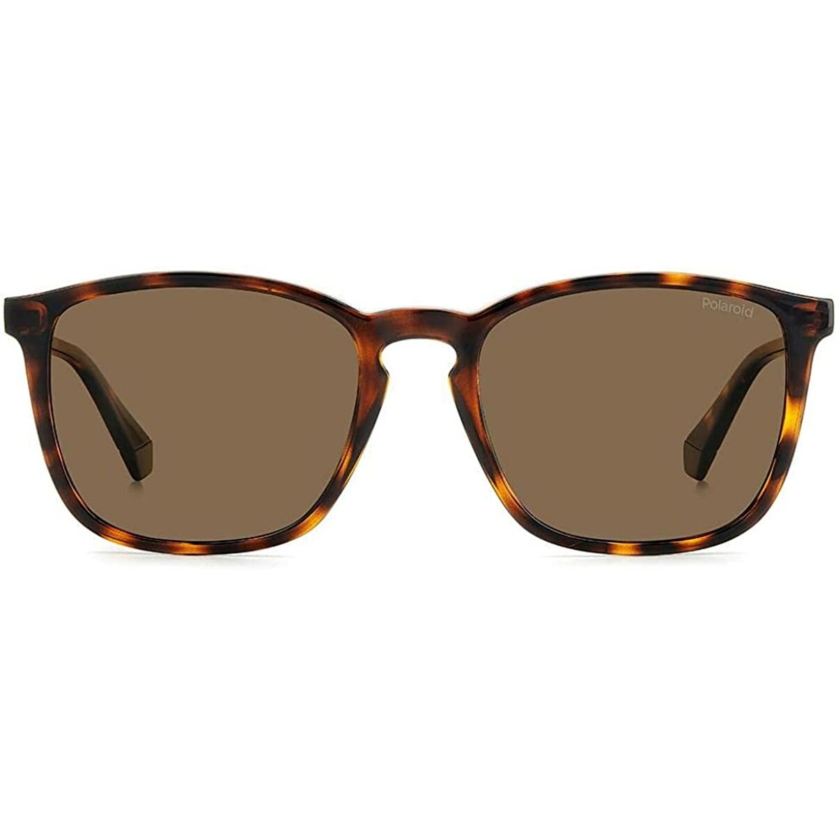 Lunettes de soleil Homme Polaroid PLD 4139_S
