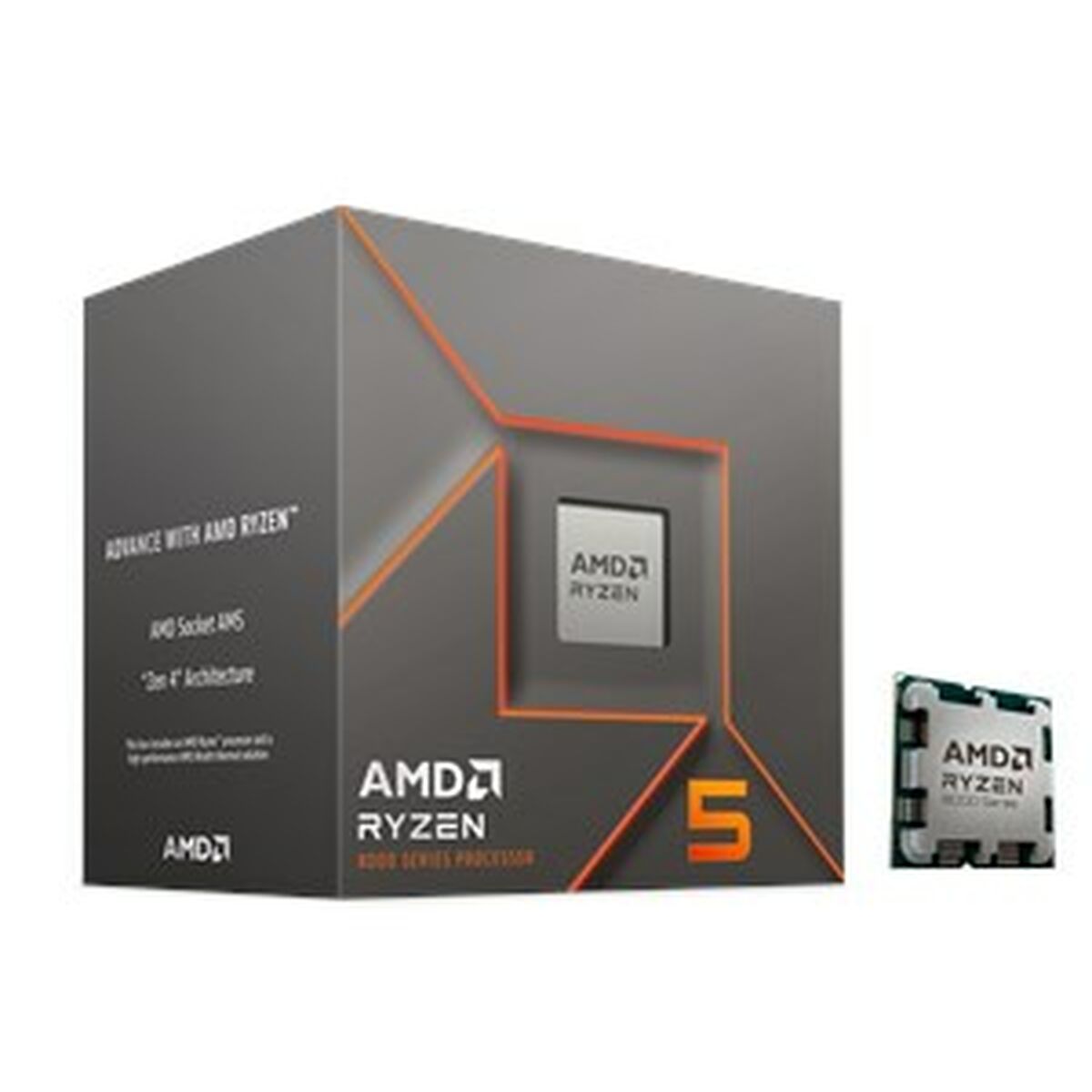 Processeur AMD 100-100001591BOX AMD AM5