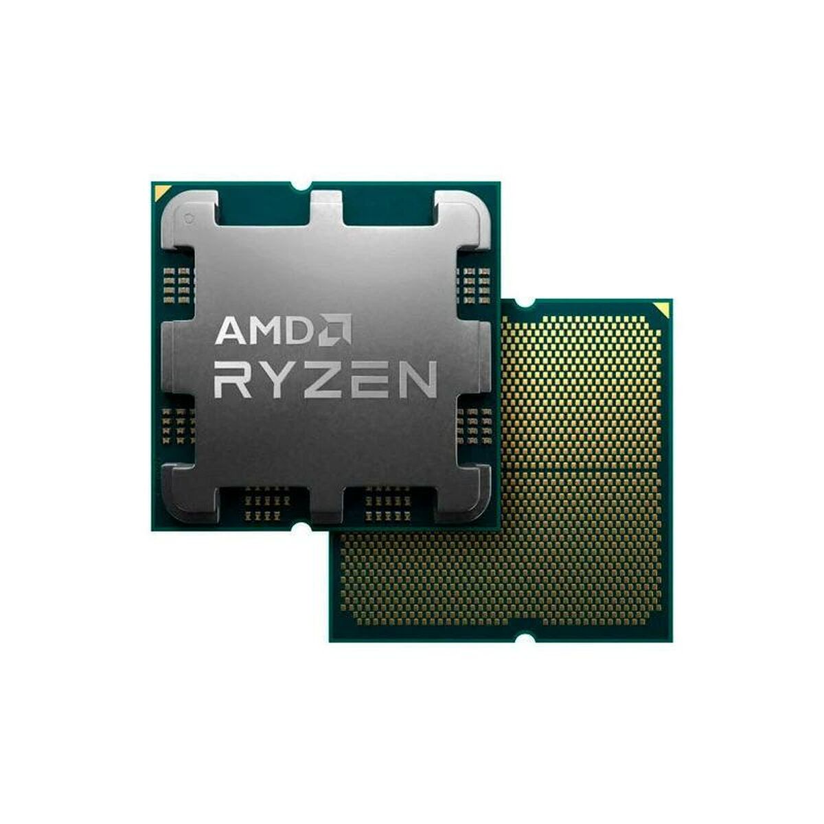 Processeur AMD 100-100000718BOX AMD AM5 amd ryzen 5 9600