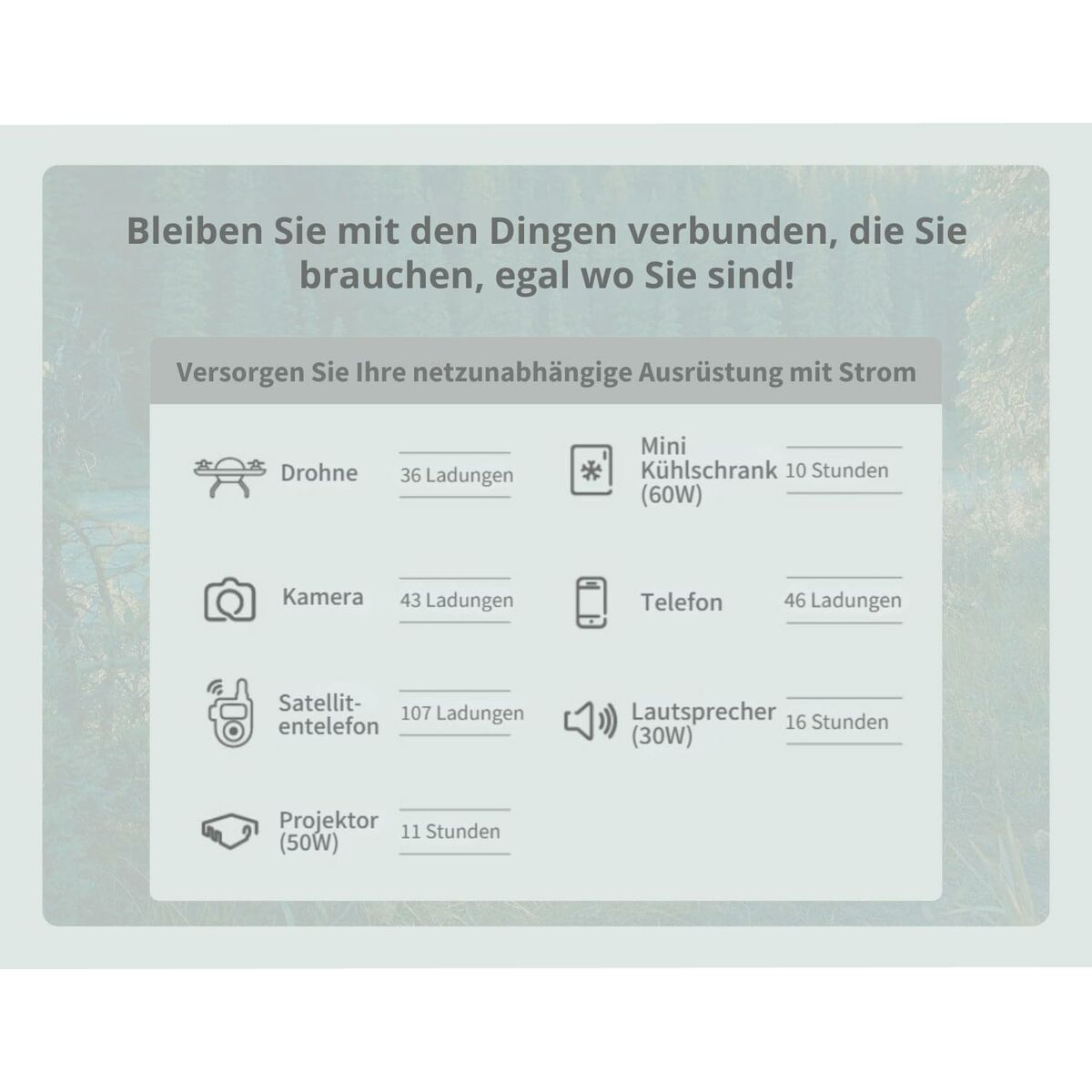 Système d'Alimentation Sans Interruption Interactif APC PPS730-GR Noir Vert 700 W