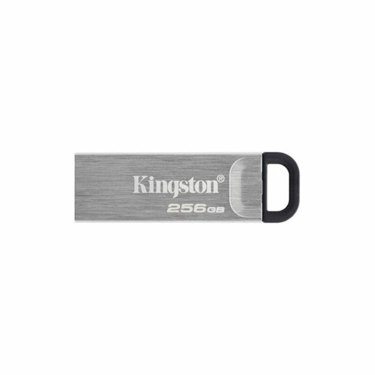 Pendrive Kingston DTKN/256GB USB 3.2 Argenté Noir 256 GB