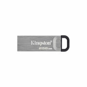Pendrive Kingston DTKN/256GB USB 3.2 Argenté Noir 256 GB