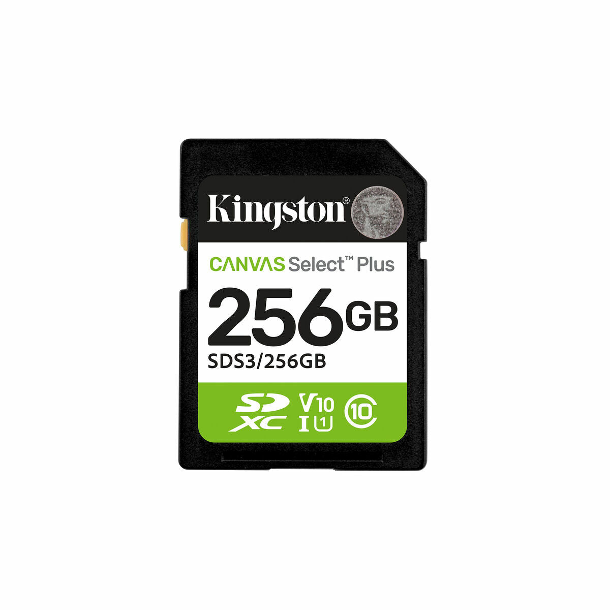 Carte Mémoire Micro SD avec Adaptateur Kingston 256 GB