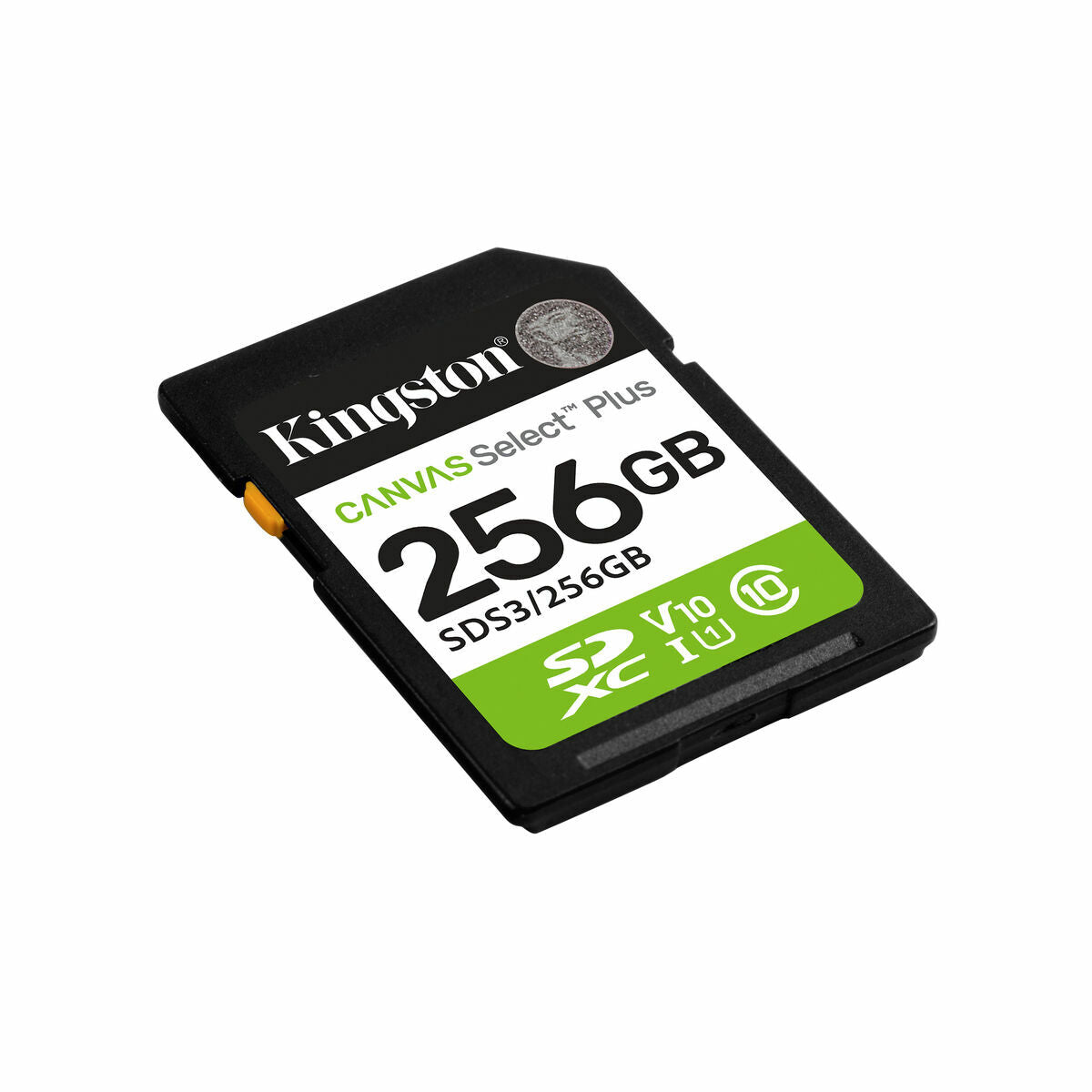 Carte Mémoire Micro SD avec Adaptateur Kingston 256 GB