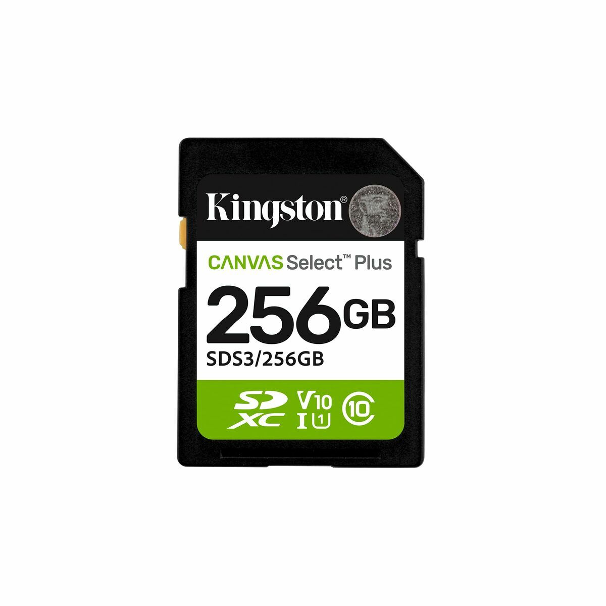 Carte Mémoire Micro SD avec Adaptateur Kingston 256 GB
