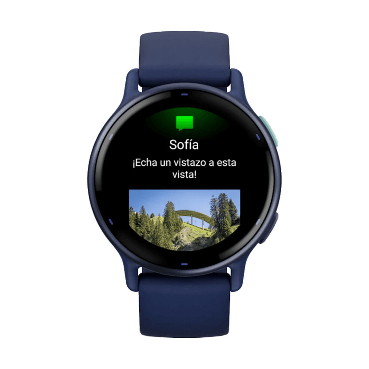 Montre Homme GARMIN 010-02862-12 Bleu 1,2"