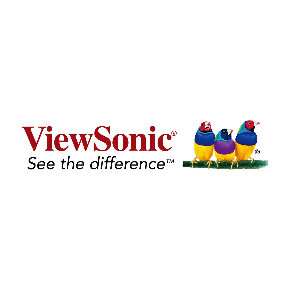 Écran ViewSonic VP16-OLED 16" Full HD