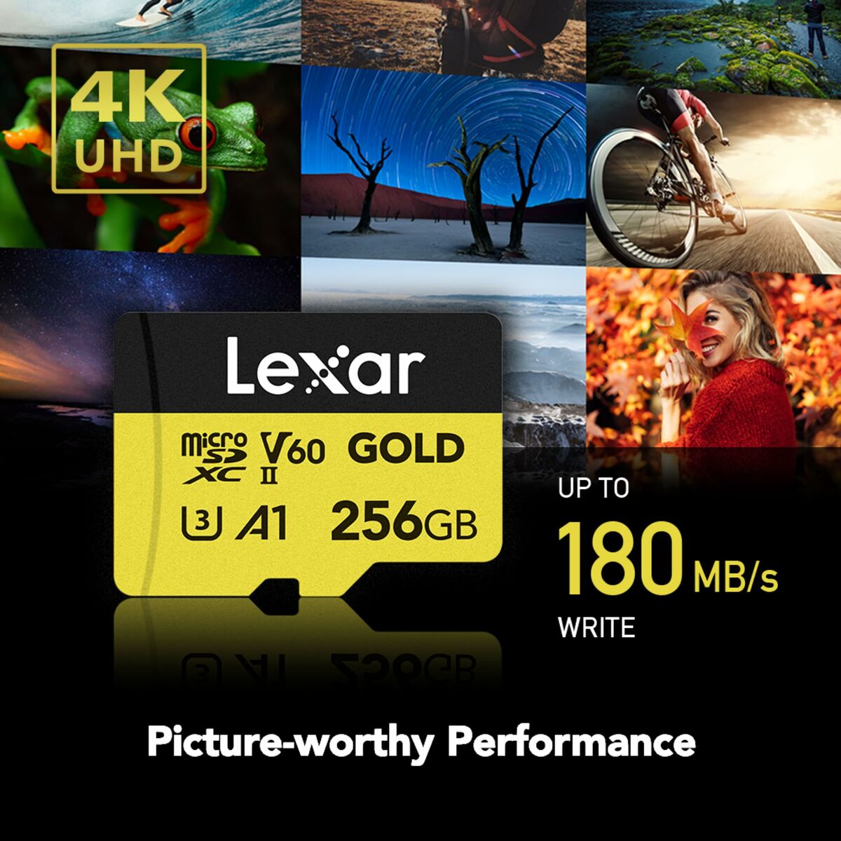 Carte Mémoire SD Lexar LMSGOLD256G-BNNNG 256 GB