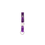 Collier pour Chien Dog Gone Smart Violet 12 Lumière