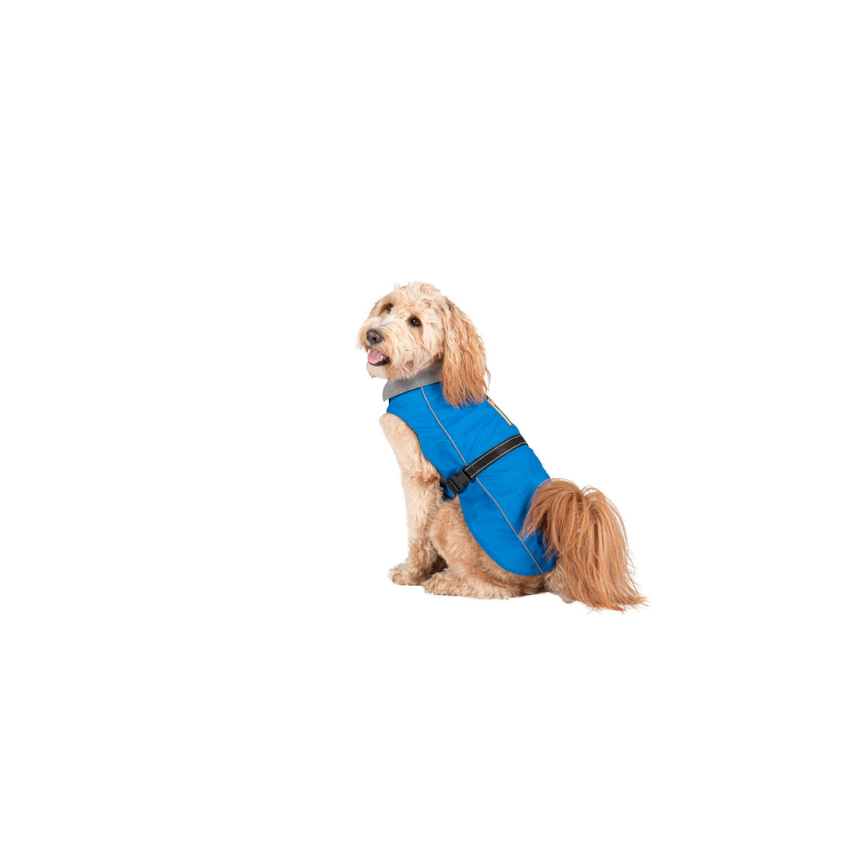 Imperméable pour Chien Dog Gone Smart Bleu 35 cm