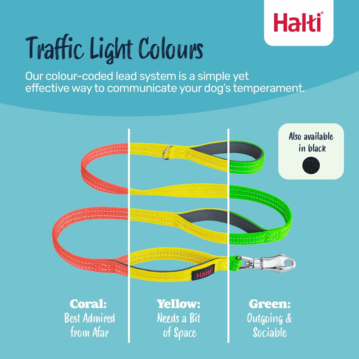 Sangle d'entraînement Company of Animals HALTI BRIG SAFETY Noir