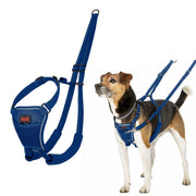 Harnais pour Chien Company of Animals Blue 20