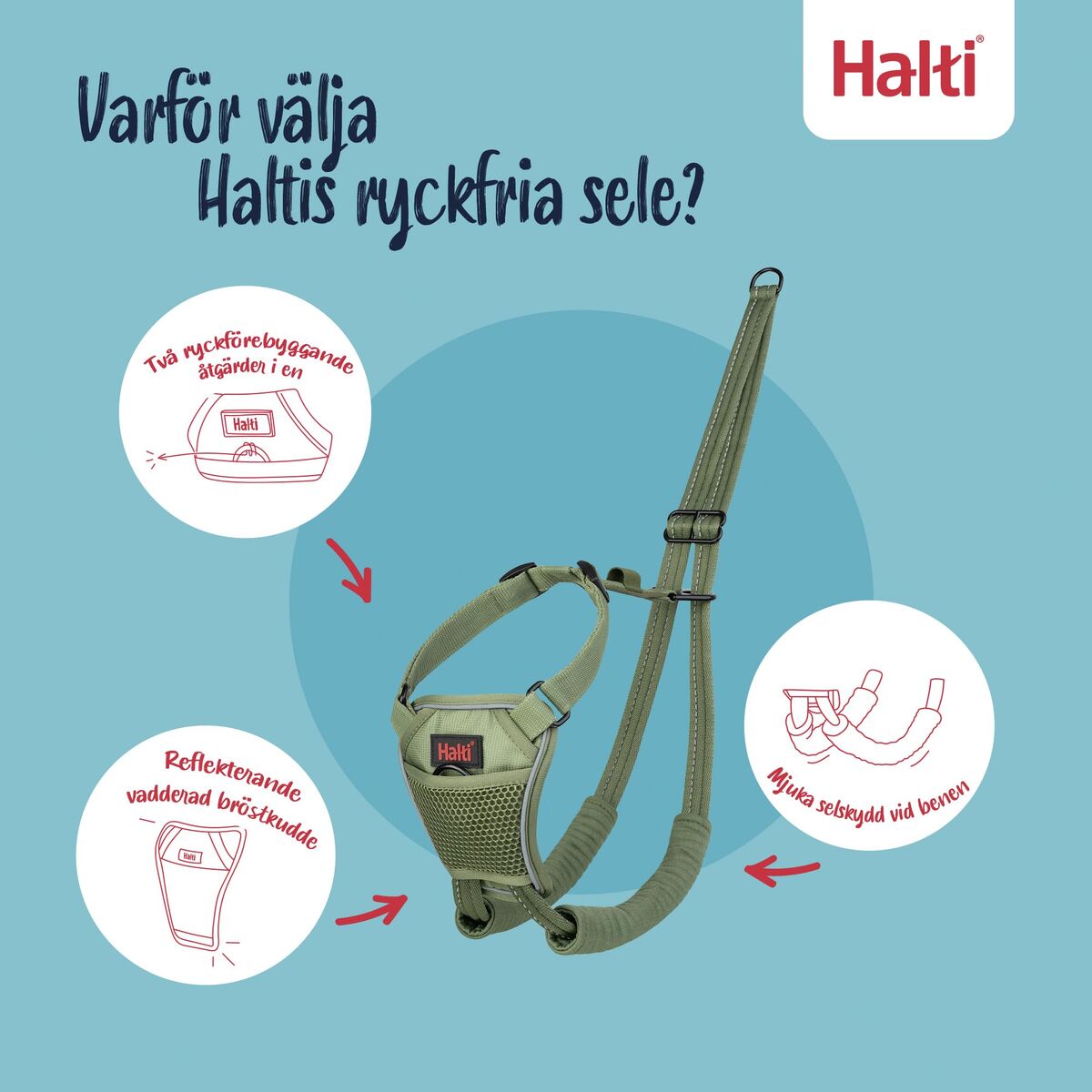 Harnais pour Chien Company of Animals FOREST Vert 20