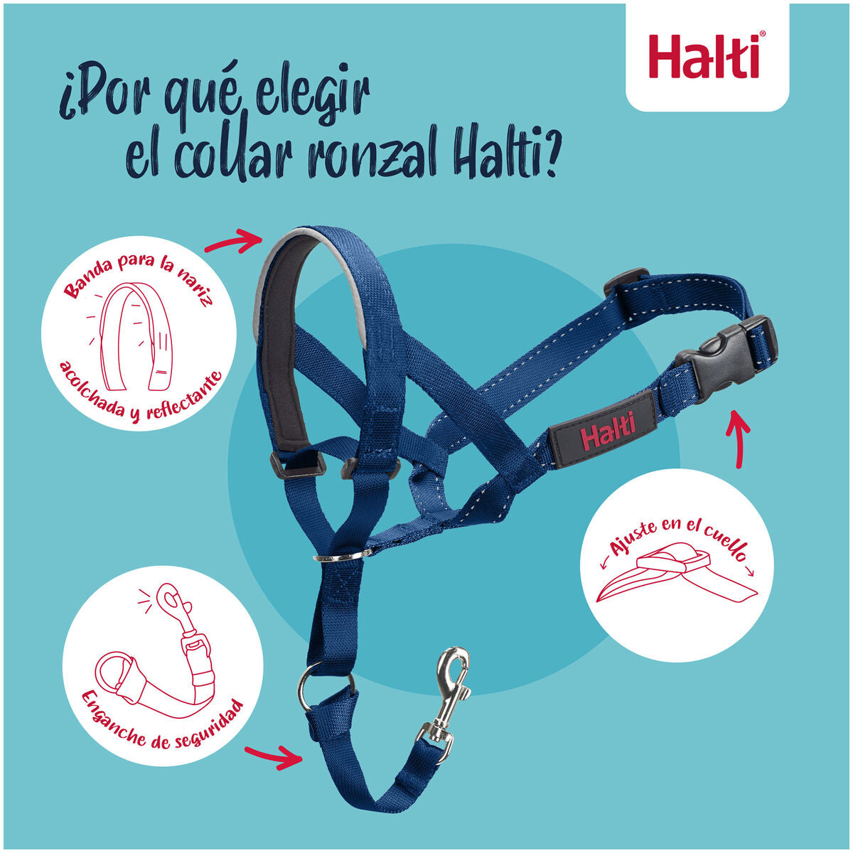 Muselière Company of Animals COBALT Bleu Taille 1