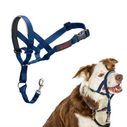 Muselière Company of Animals COBALT Bleu 2