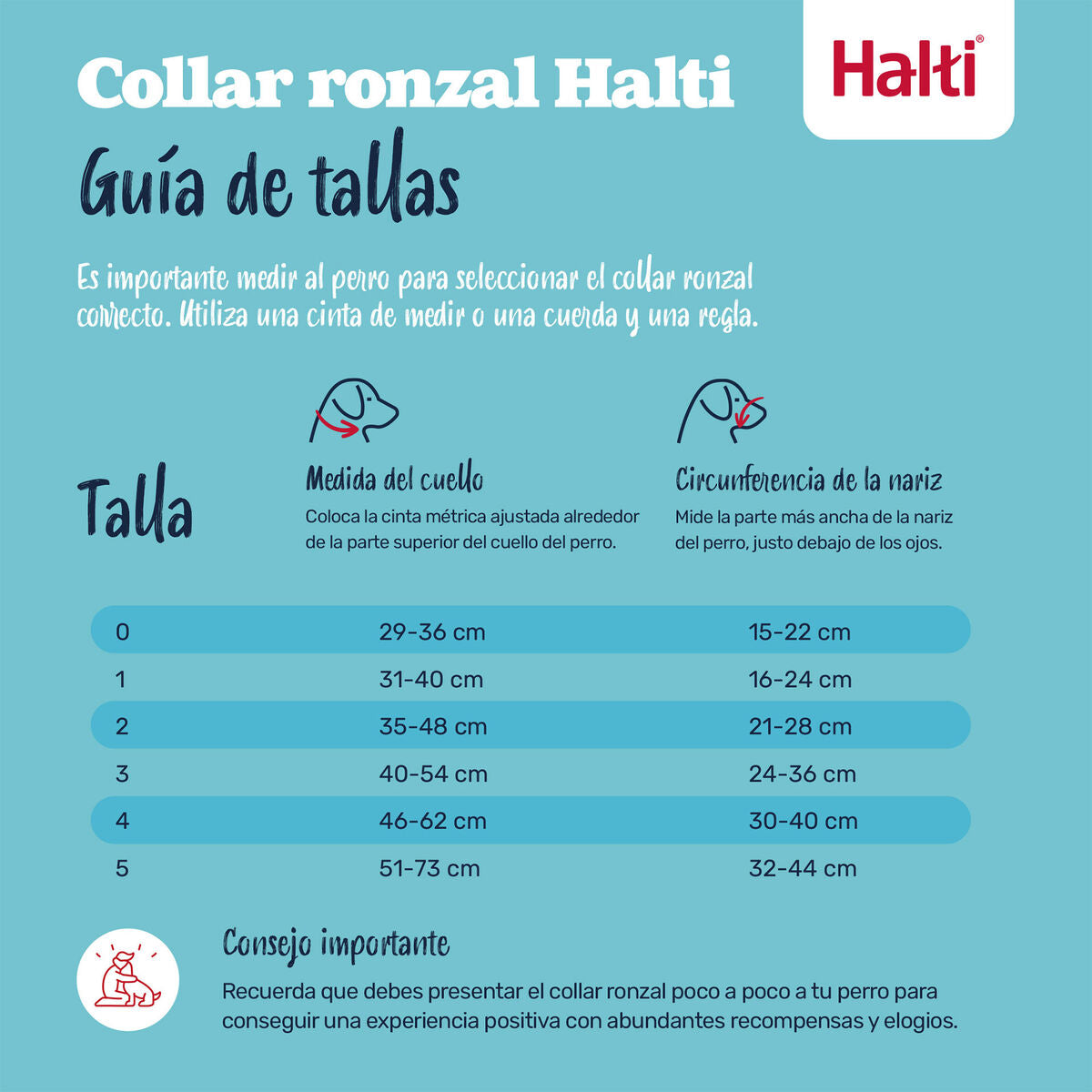 Muselière Company of Animals COBALT Bleu 2