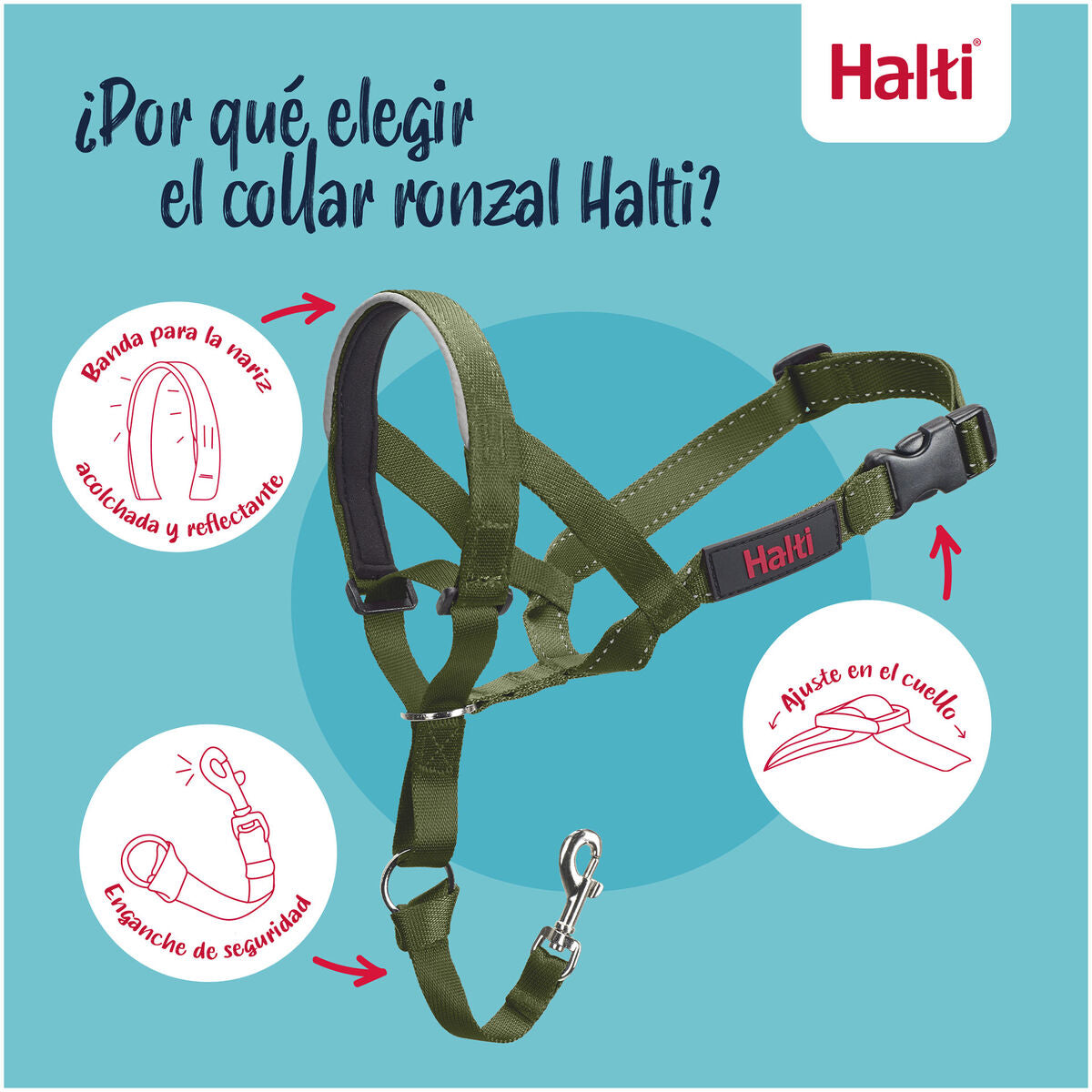 Muselière Company of Animals FOREST Vert Taille 1