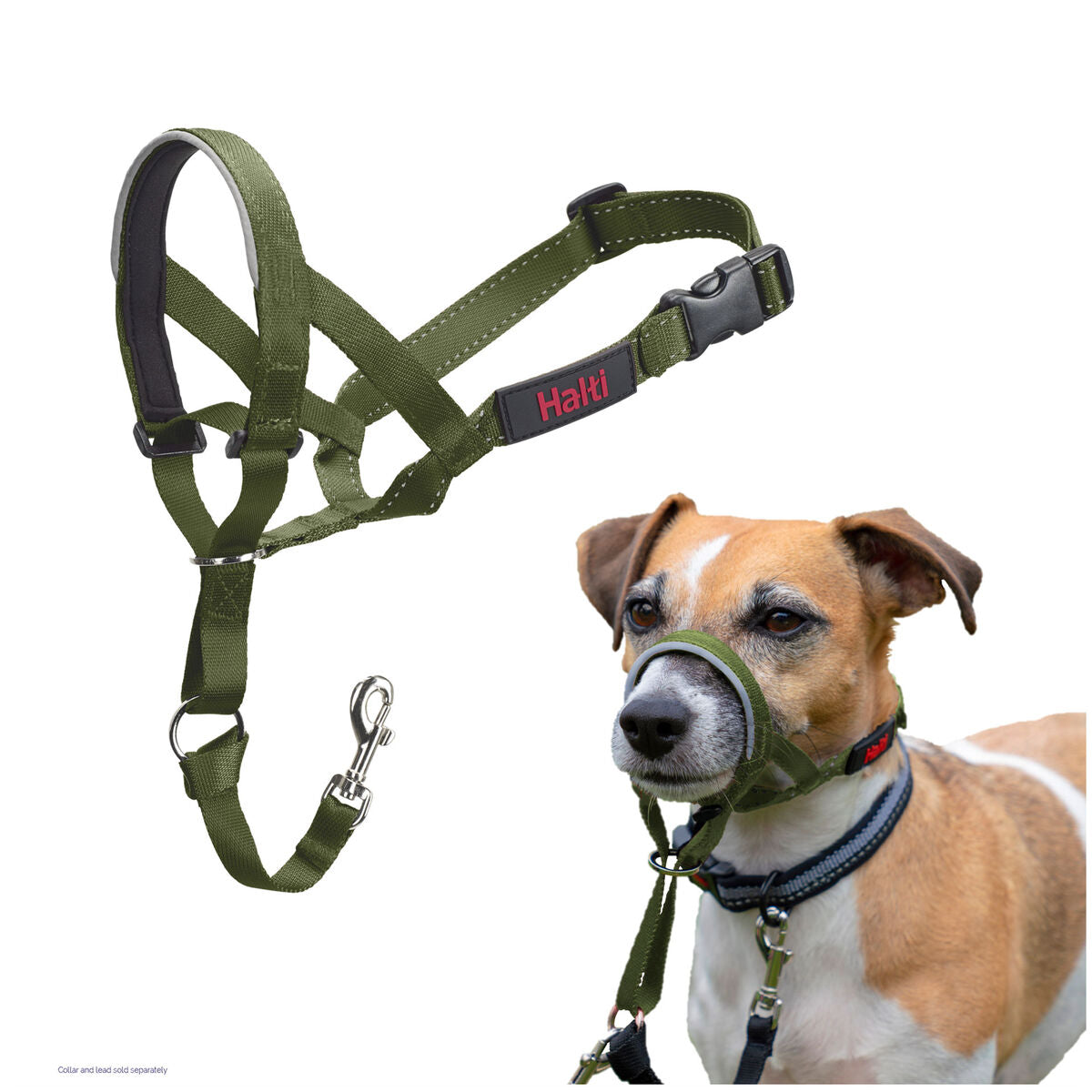 Muselière Company of Animals FOREST Vert 2