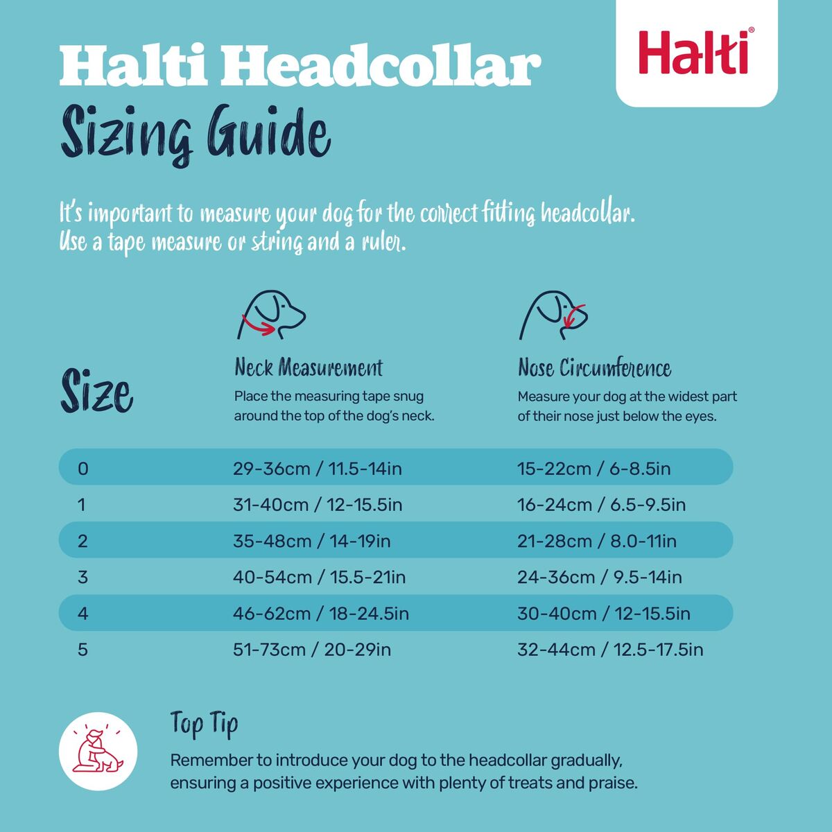 Muselière Company of Animals FOREST Vert 3