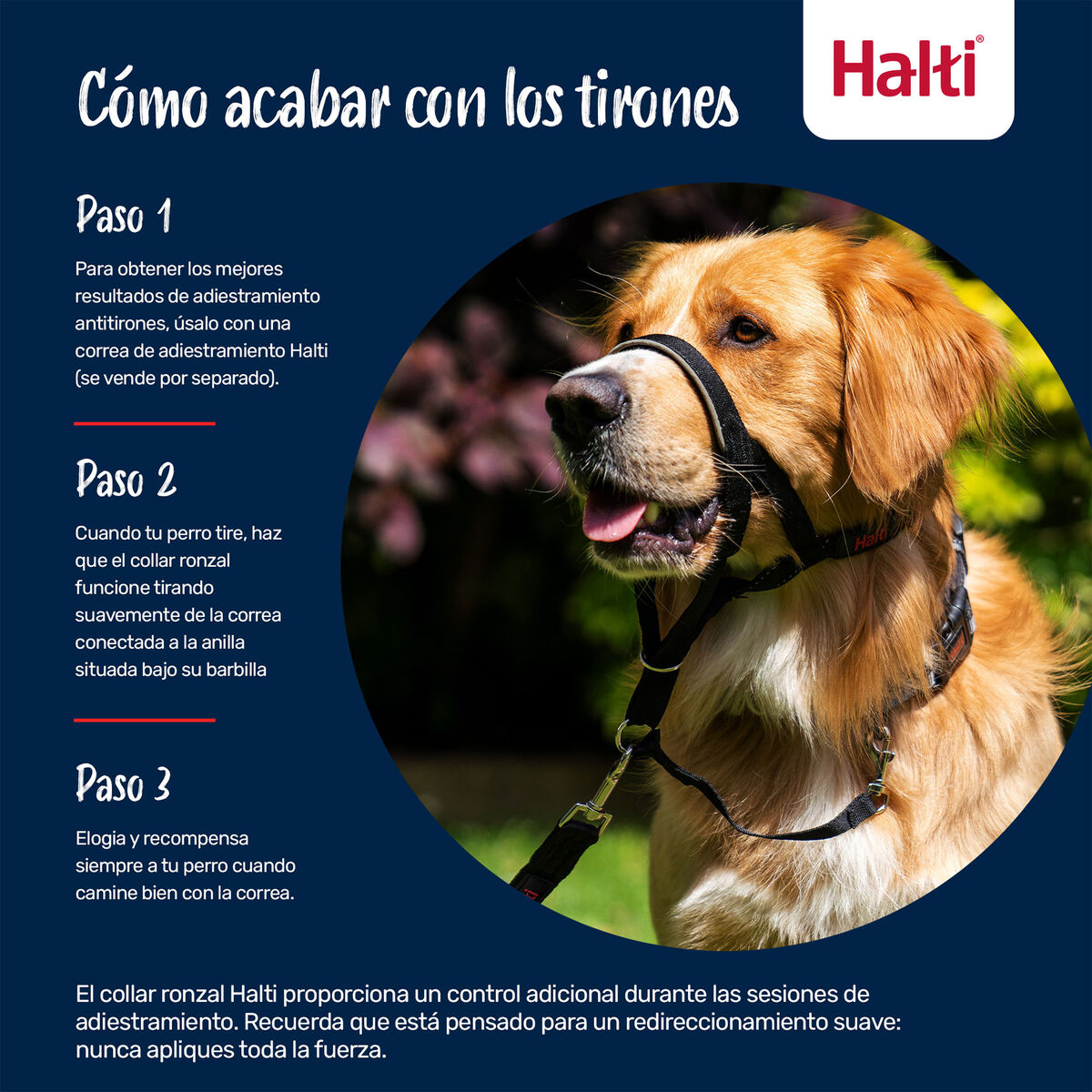 Muselière Company of Animals FOREST Vert 4