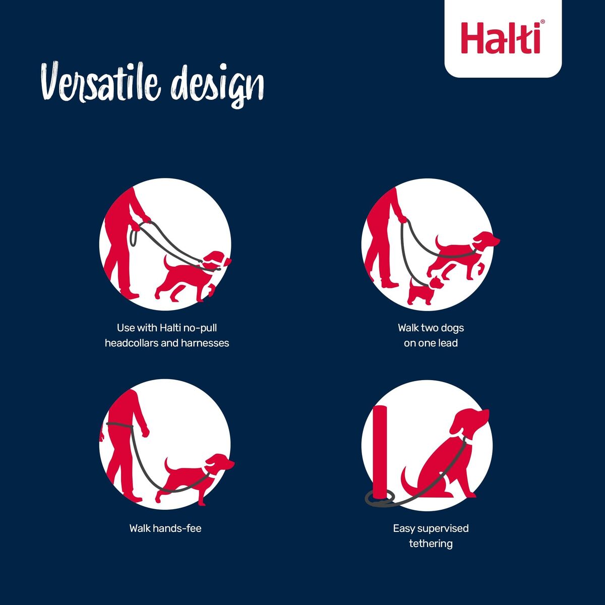 Laisse de suivi Company of Animals Blue