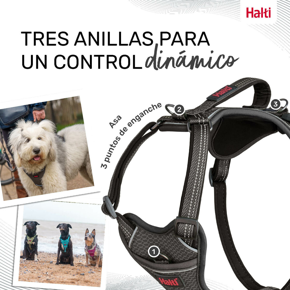 Harnais pour Chien Company of Animals Gris XL 50-78 cm