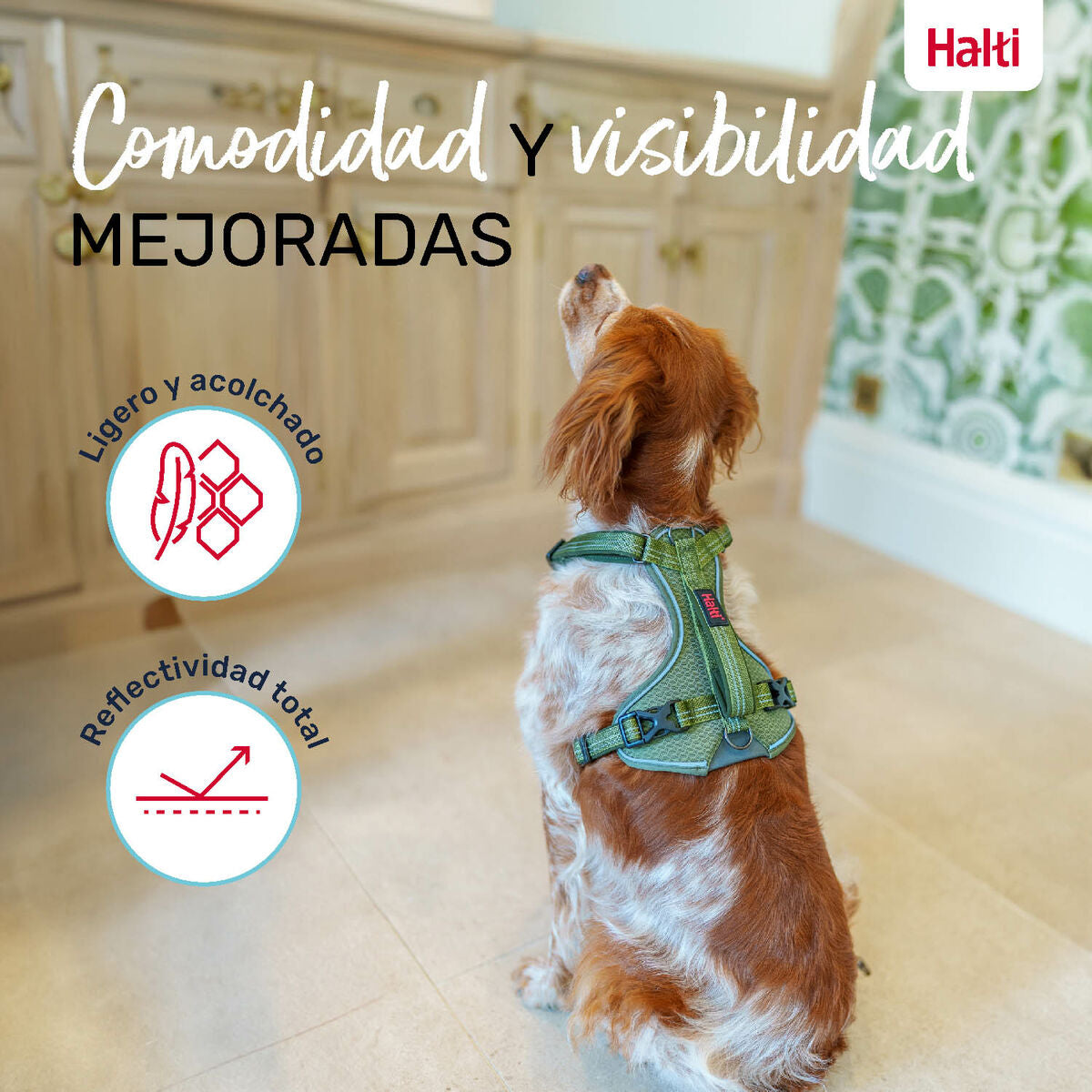 Harnais pour Chien Company of Animals Vert S 28-42 cm