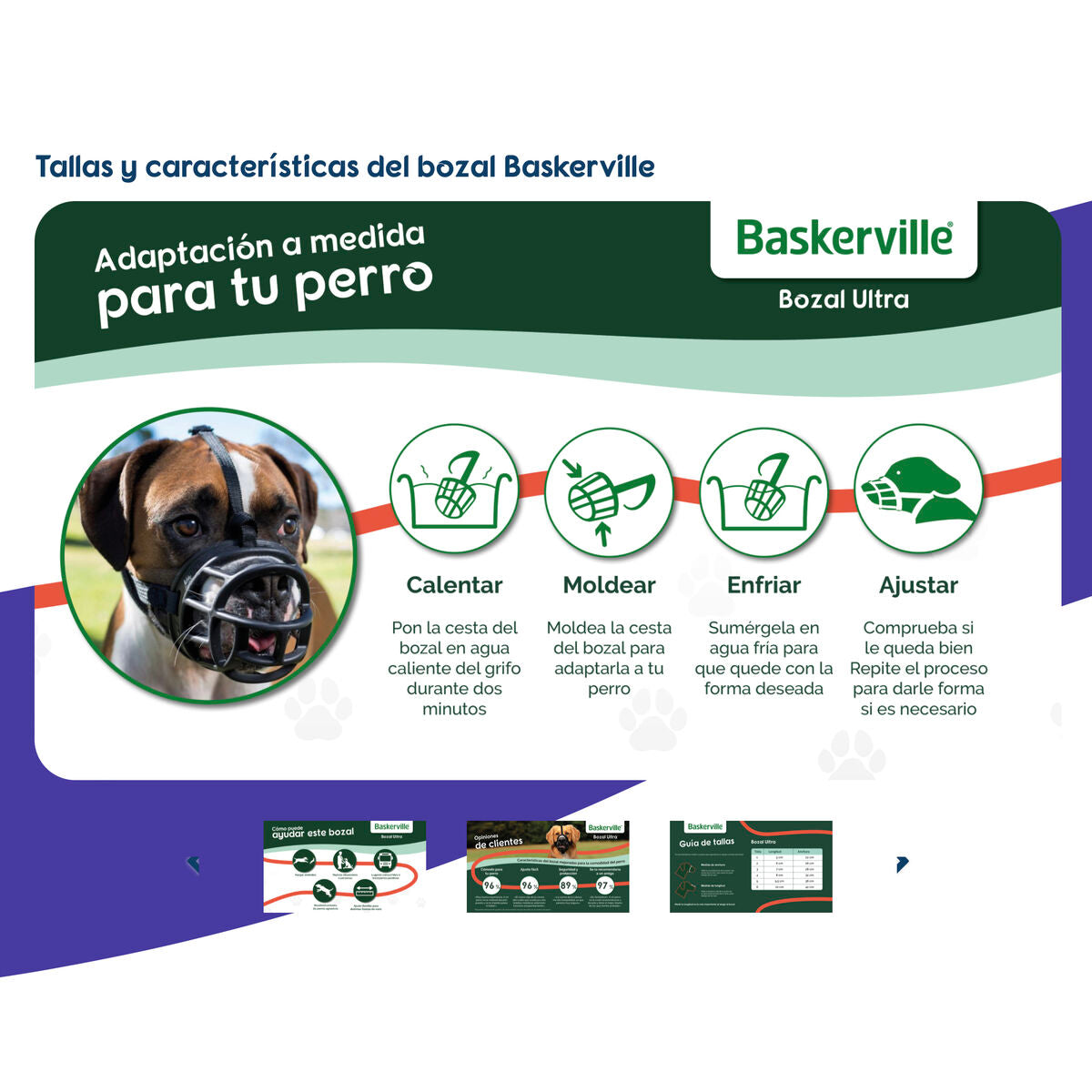 Muselière Company of Animals Noir 2