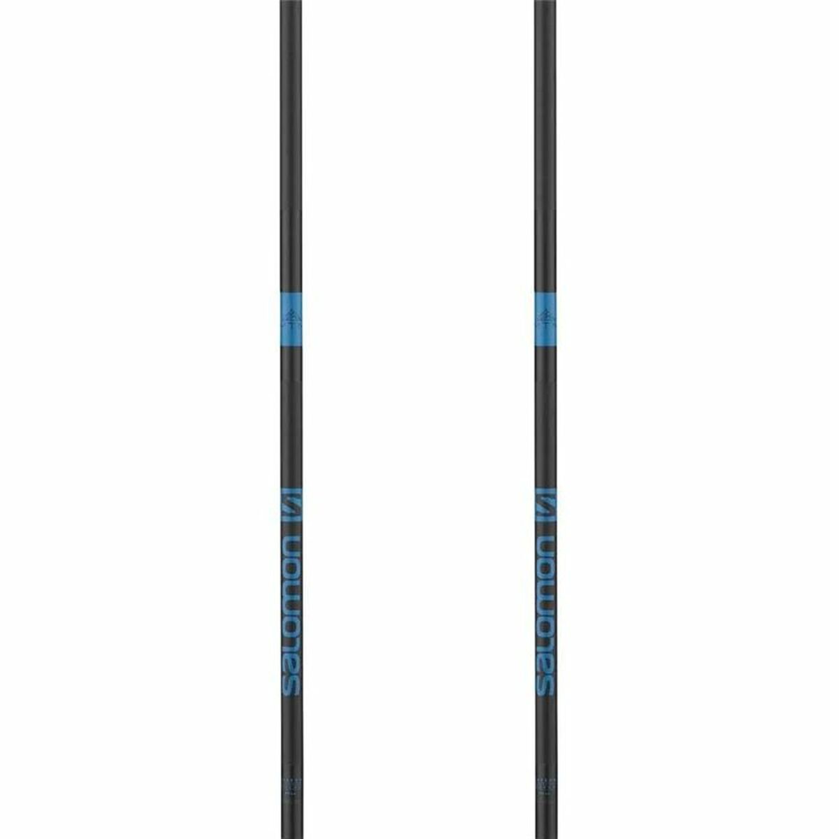 Bâton Trekking Salomon Poles Mtn Outdoor 120 cm