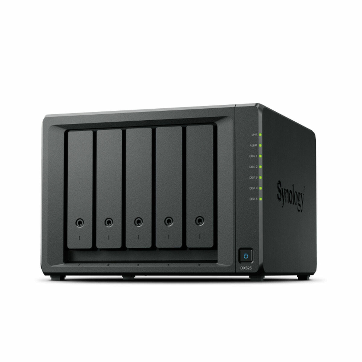 Stockage en Réseau NAS Synology DX525 Noir