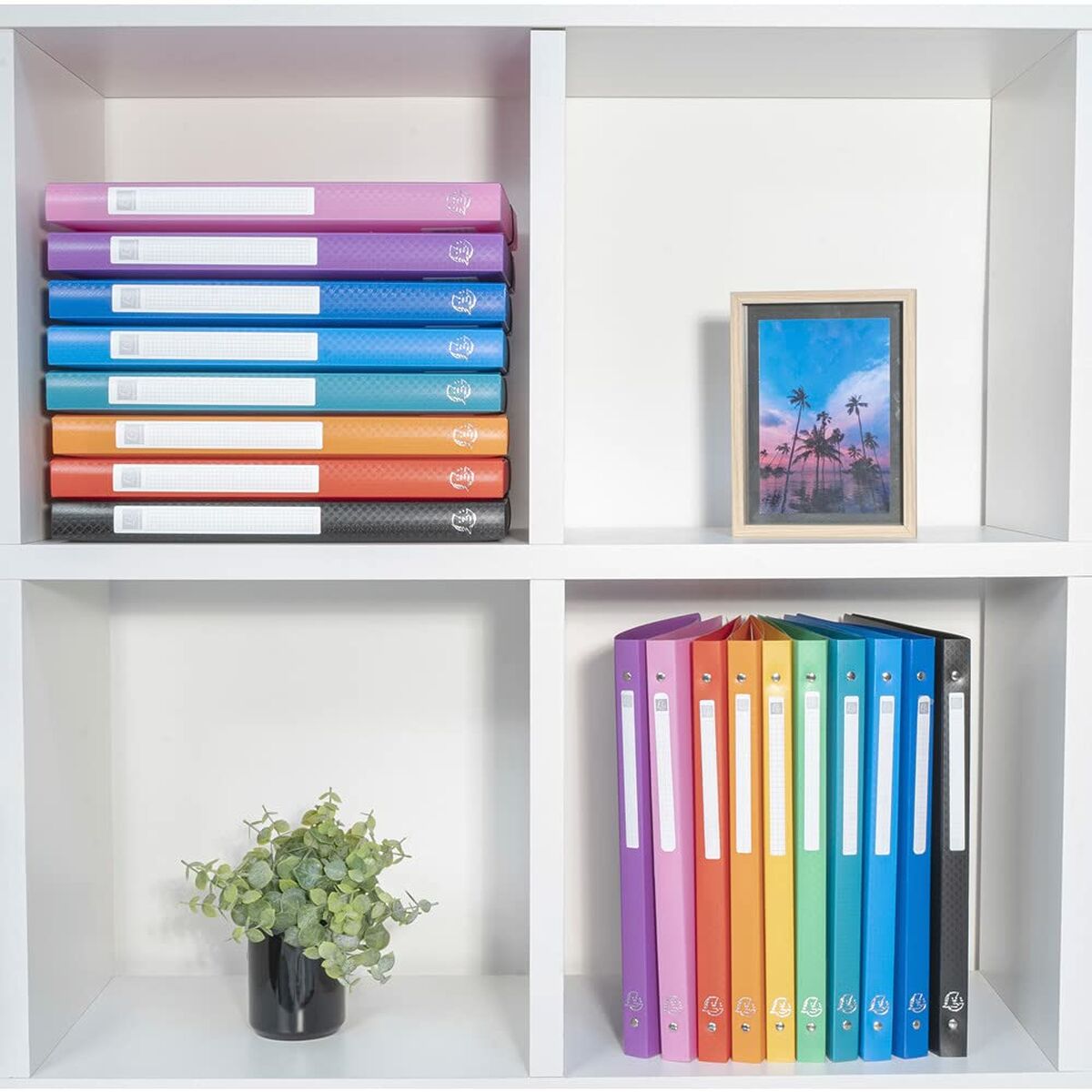 Reliure à anneaux Exacompta Noir A4 (20 Unités) (4 Unités)