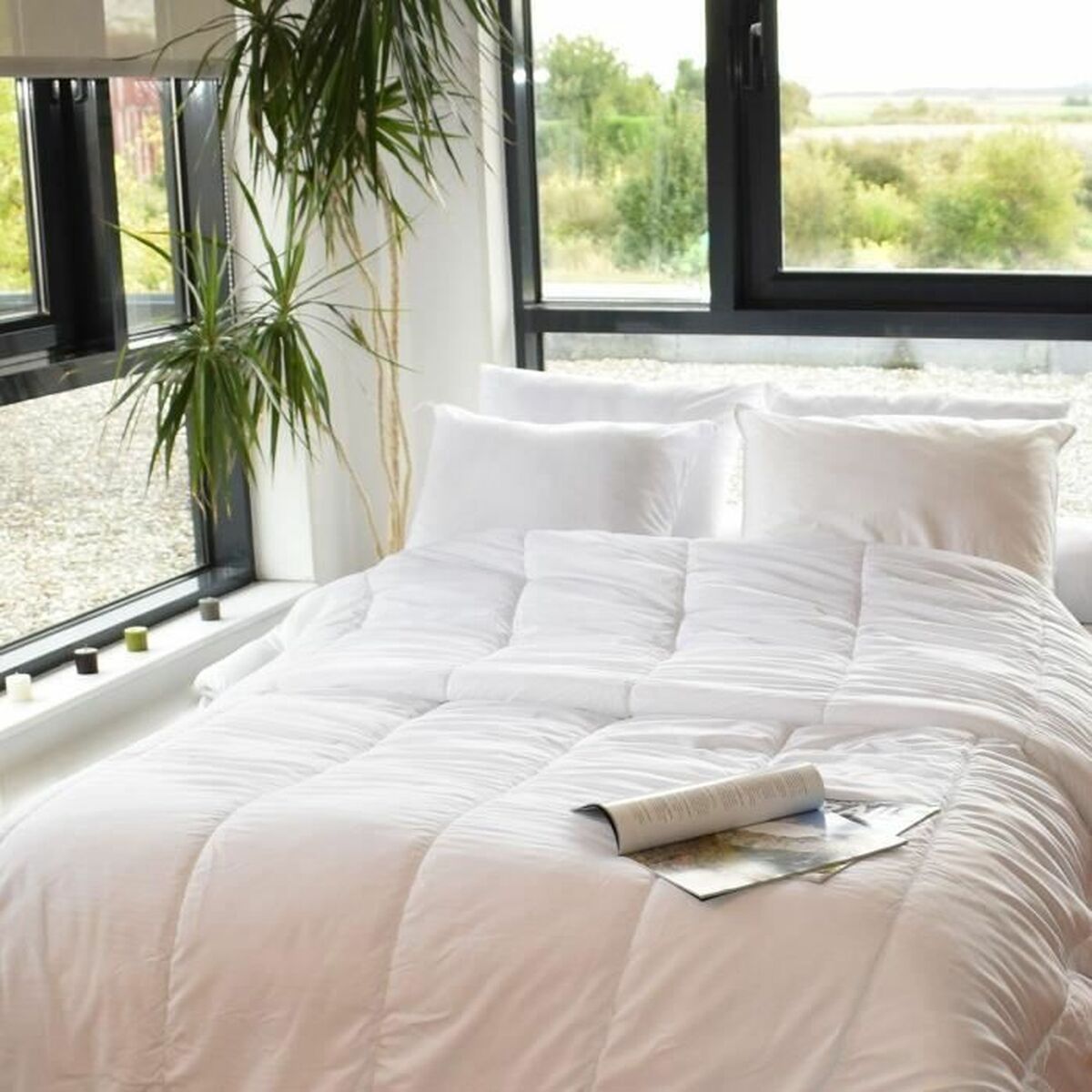 Couette légère Blanc 250 g/m² 220 x 240 cm