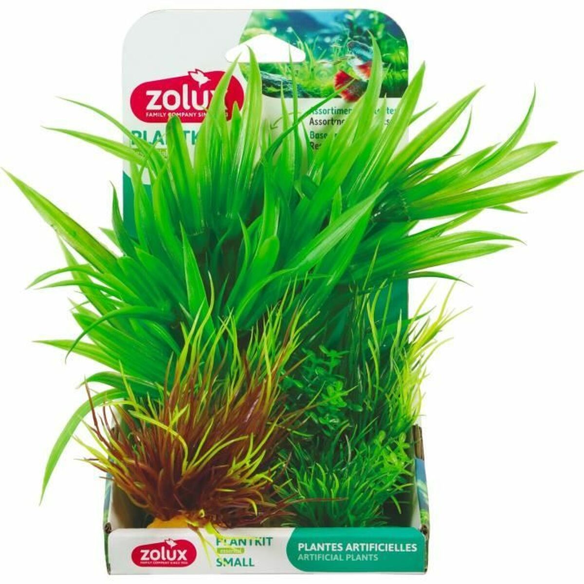 Plante décorative Zolux